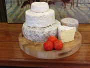 Coldstream Dairy