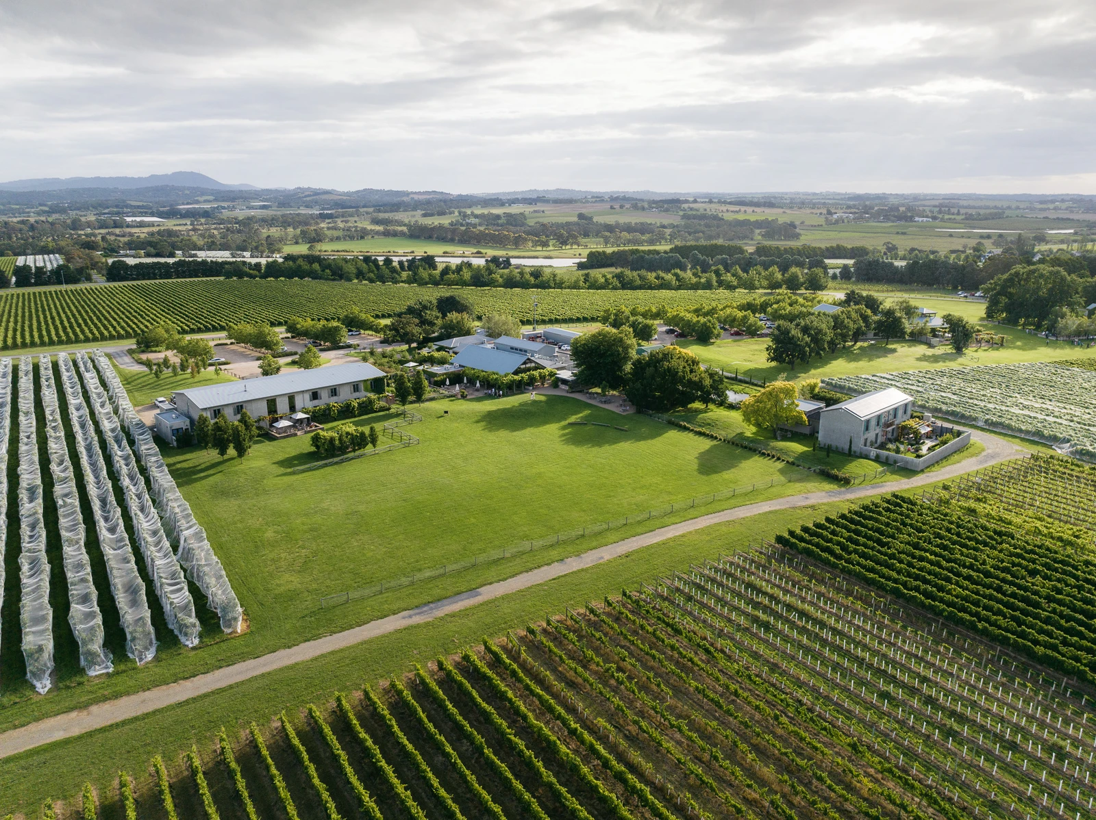 Aerial view of vineyard rows, gardens and buildings across the Yarra Valley